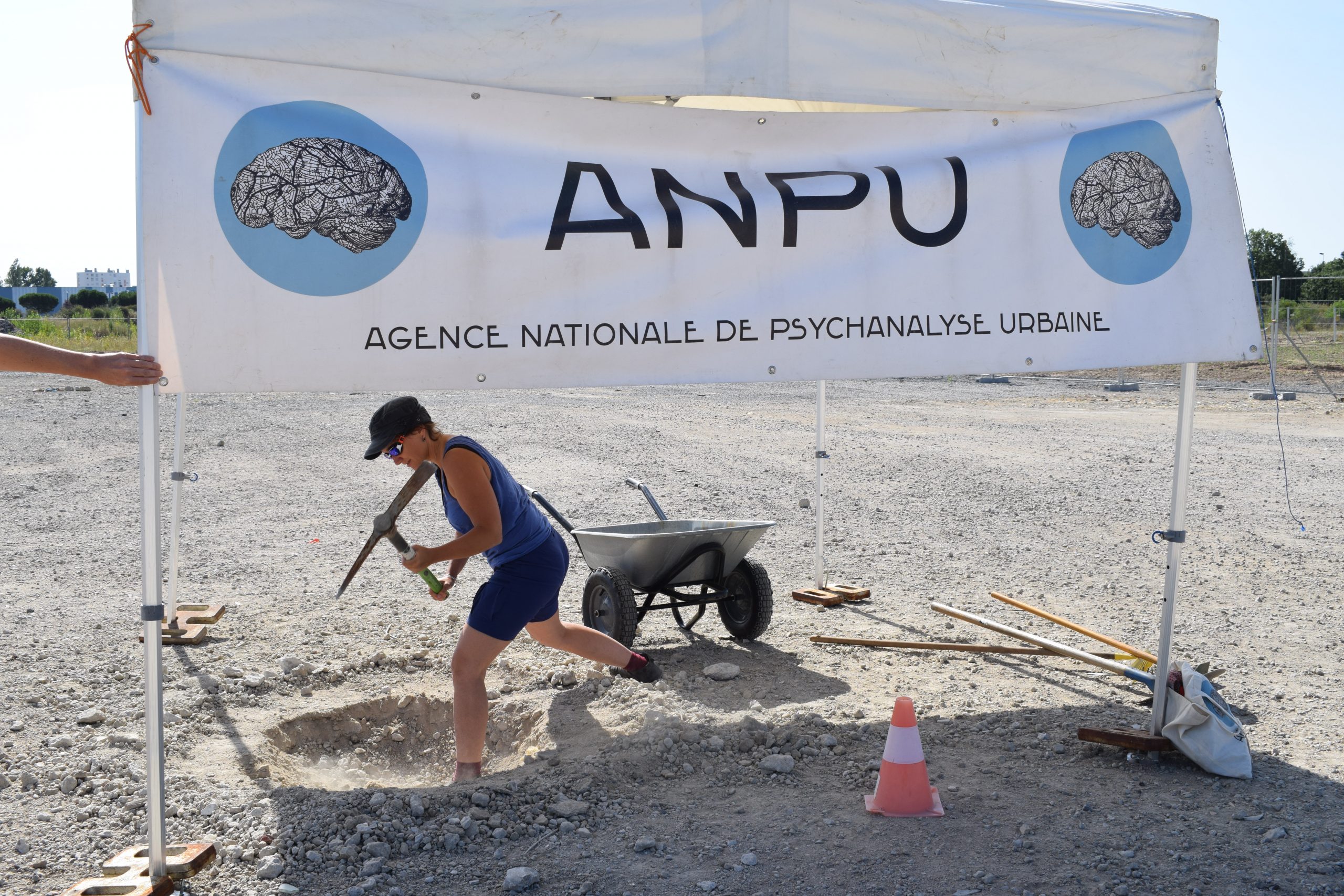 La plantation de l’arbre mytho-généalogique de Transfert par l’ANPU