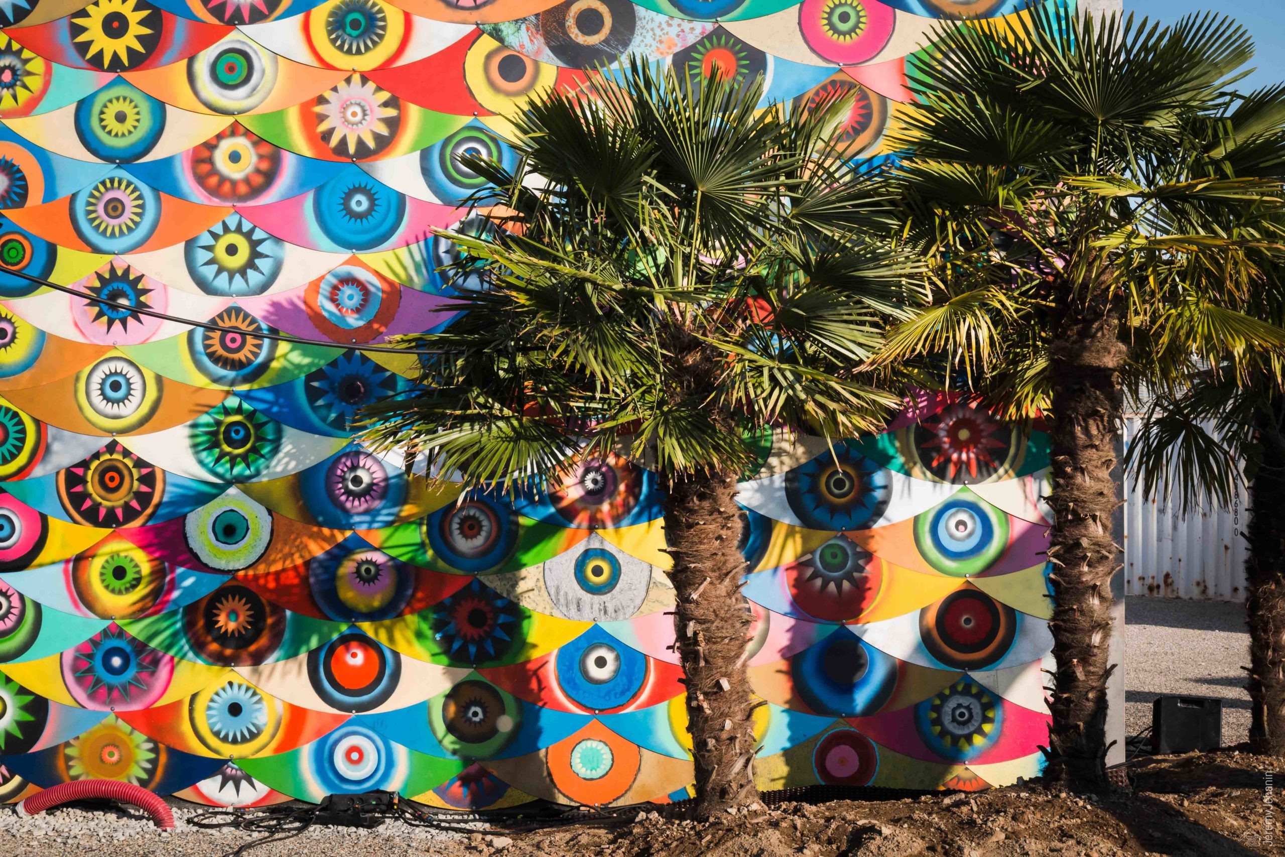 Expérimentations végétales in-situ, découvrez les actions menées à Transfert depuis sa création.