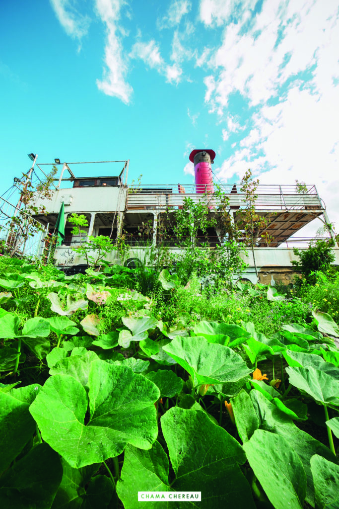 Végétalisation du bateau remorqueur à Transfert